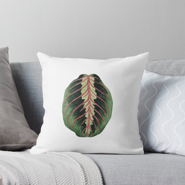 Item preview, Red Maranta aka Prayer Plant designed and sold by plantwithhan.