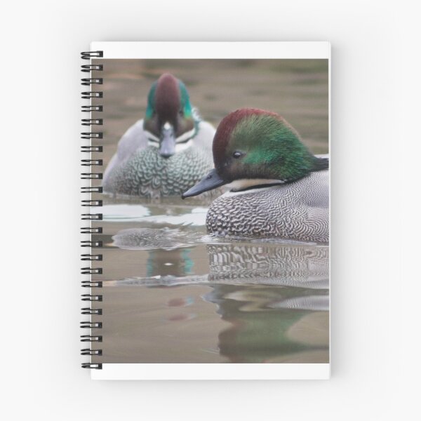 Item preview, Falcated Teal swimming on the pond designed and sold by Sara Sadler.