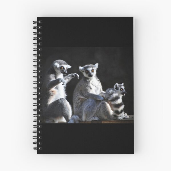 Item preview,  Ring-tailed Lemur Family designed and sold by Savannah Gibbs.
