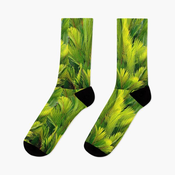 Item preview, Ferns from Port Douglas, Australia designed and sold by Anthony Macaluso.