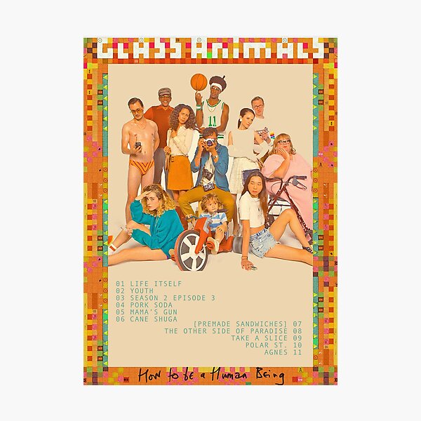 Glass Animals Photographic Print