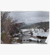 creek in moraine park Poster