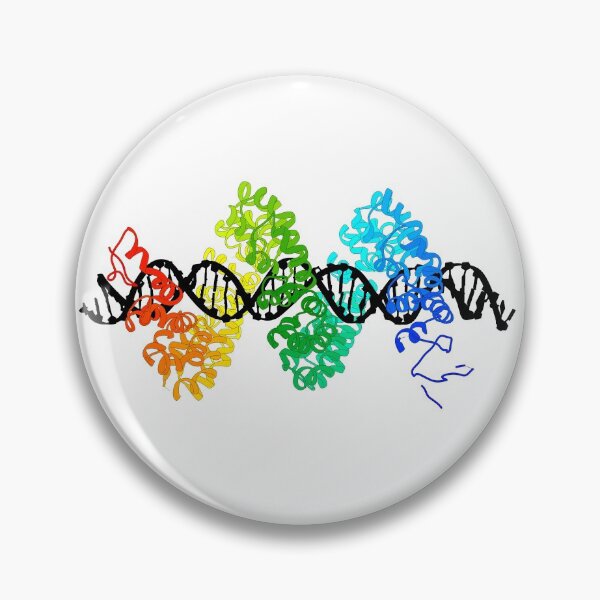 Item preview, TAL Effector PthXo1 bound to DNA designed and sold by 3D Biology.