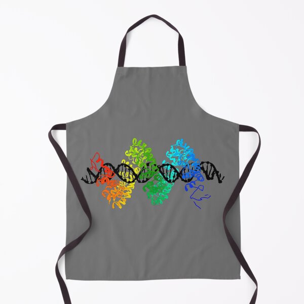 Item preview, TAL Effector PthXo1 bound to DNA designed and sold by 3D Biology.