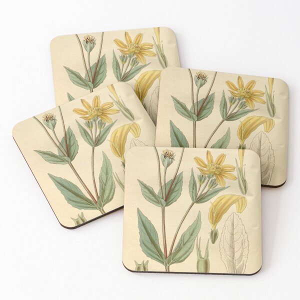 Item preview, Curtis's botanical magazine (Plate 3384) (8615463769) designed and sold by EsotericBotanic.