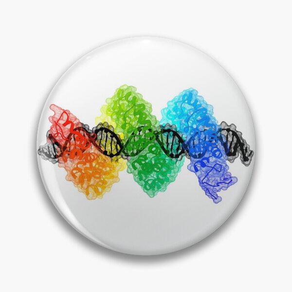 Item preview, TAL Effector PthXo1 bound to DNA designed and sold by 3D Biology.