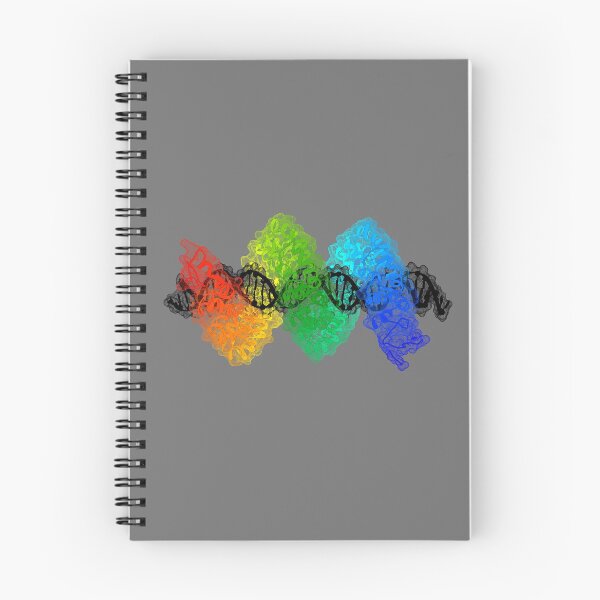 Item preview, TAL Effector PthXo1 bound to DNA designed and sold by 3D Biology.