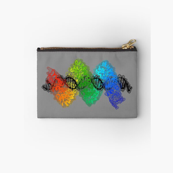 Item preview, TAL Effector PthXo1 bound to DNA designed and sold by 3D Biology.