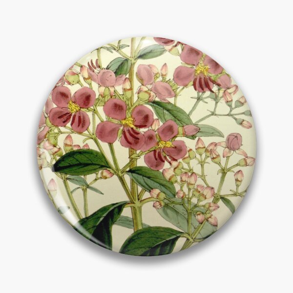 Item preview, Heterocentron mexicanum 86 5166 designed and sold by EsotericBotanic.