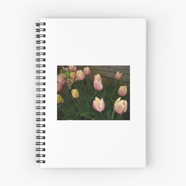Item preview, PINK AND YELLOW TULIPS designed and sold by JAYMILO.