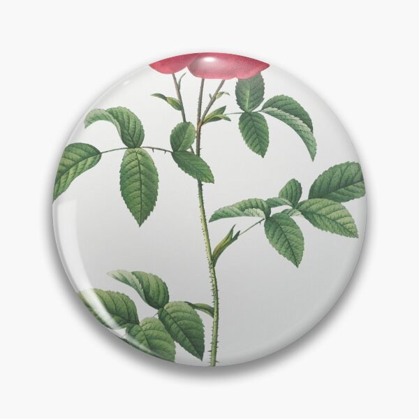 Item preview, Les Roses by Pierre-Joseph Redouté designed and sold by EsotericBotanic.