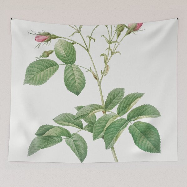 Item preview, Les Roses by Pierre-Joseph Redouté designed and sold by EsotericBotanic.