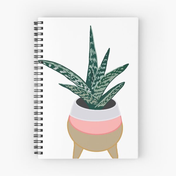 Item preview, Tiger Aloe (Aloe variegata) designed and sold by Andie Janik.