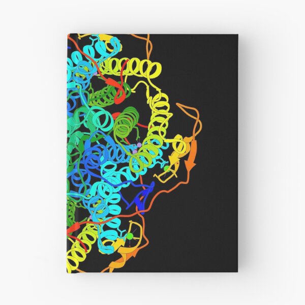 Item preview, Manganese Catalase designed and sold by 3D Biology.