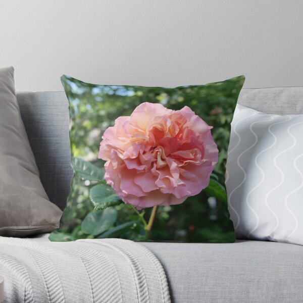 Fragrant Rachel Hybrid Tea Rose Throw Pillow