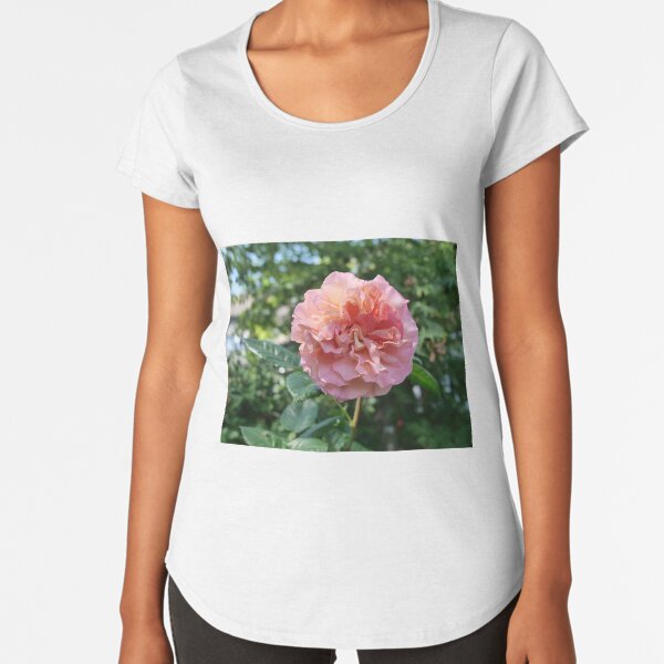 Fragrant Rachel Hybrid Tea Rose Premium Scoop T-Shirt