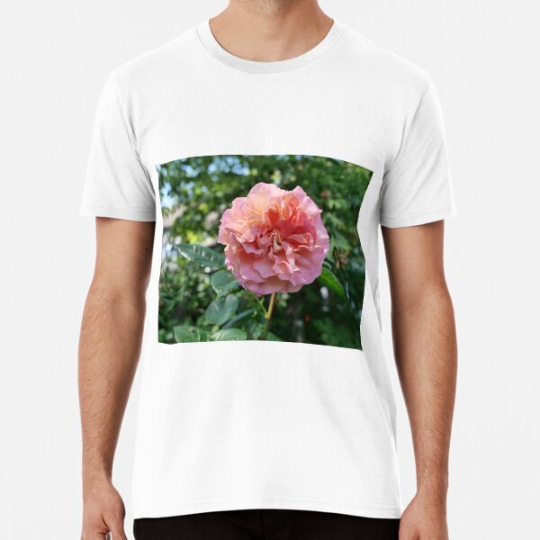 Fragrant Rachel Hybrid Tea Rose Premium T-Shirt