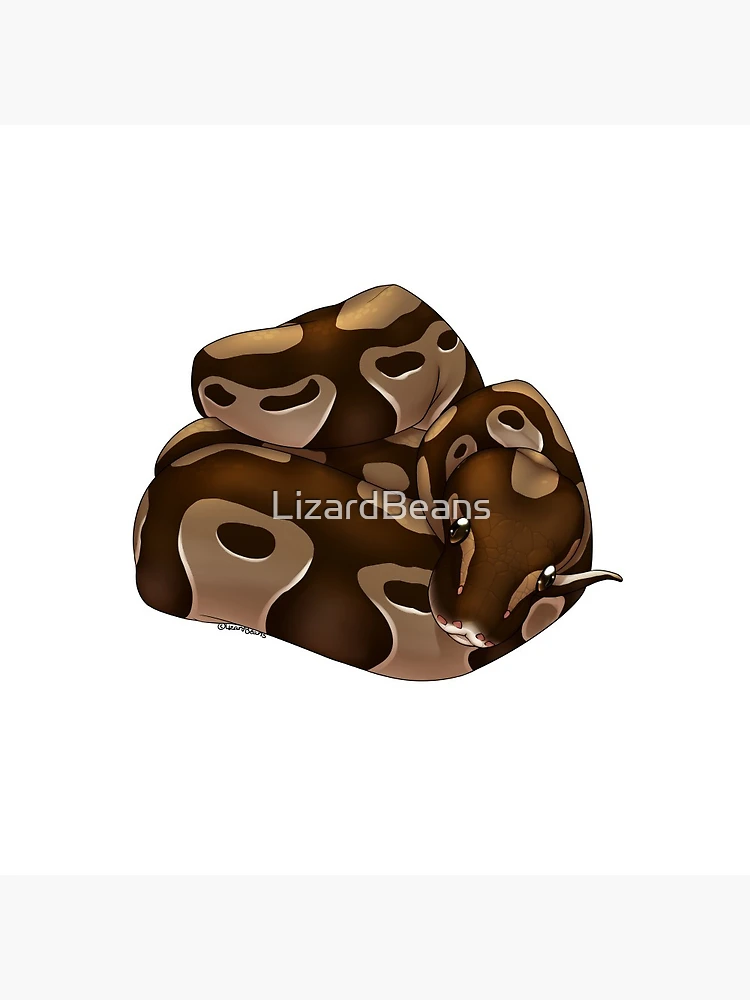 Thumbnail 3 of 3, Pin, Normal Ball Python designed and sold by LizardBeans.
