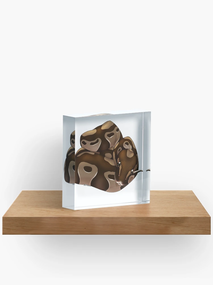 Thumbnail 2 of 5, Acrylic Block, Normal Ball Python designed and sold by LizardBeans.