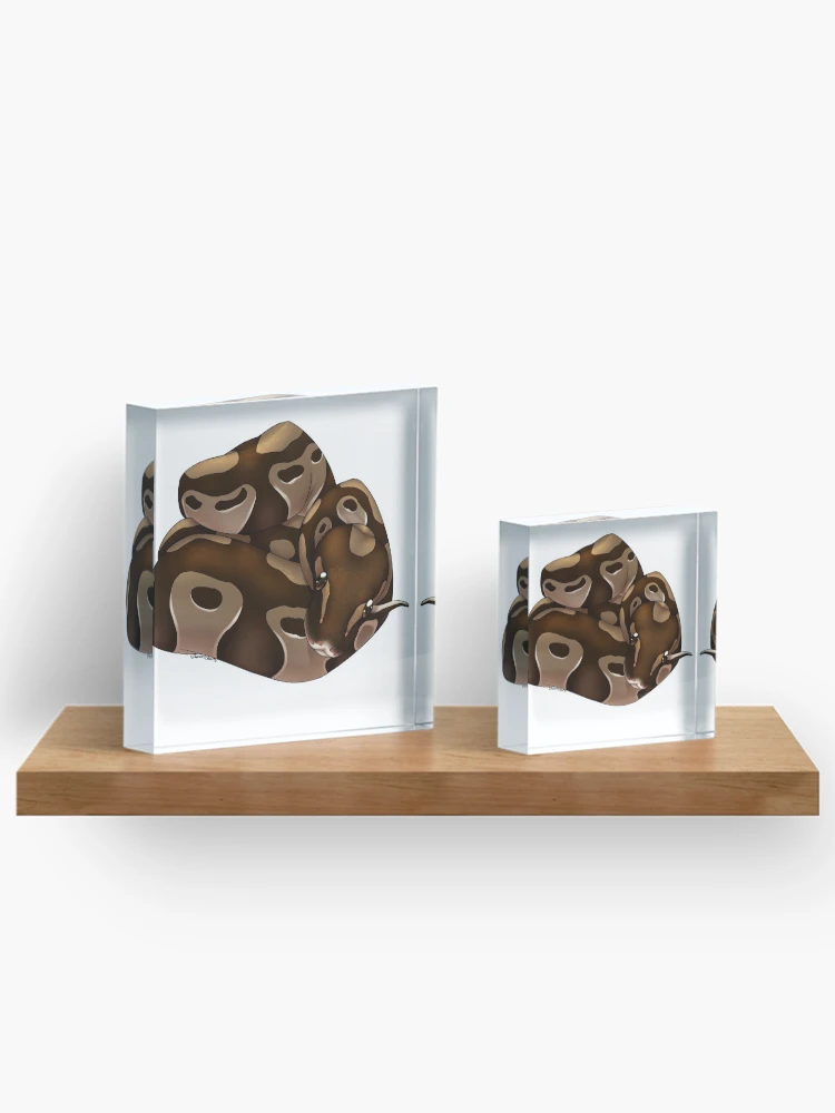 Thumbnail 3 of 5, Acrylic Block, Normal Ball Python designed and sold by LizardBeans.
