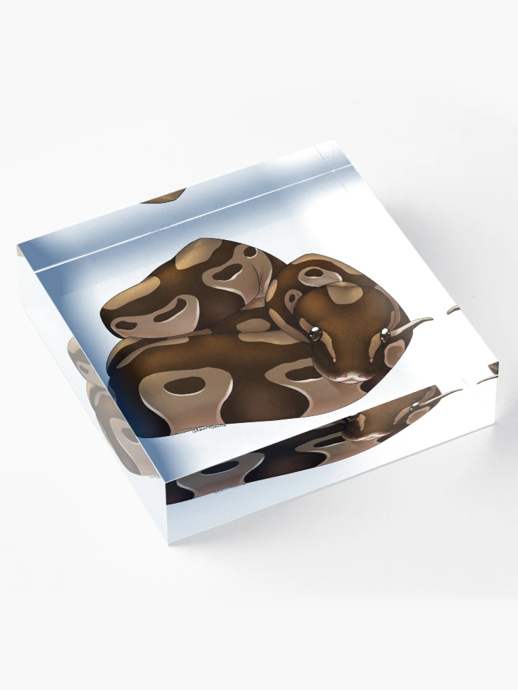 Thumbnail 4 of 5, Acrylic Block, Normal Ball Python designed and sold by LizardBeans.