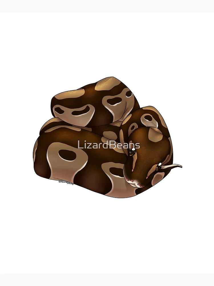 Thumbnail 6 of 6, Apron, Normal Ball Python designed and sold by LizardBeans.