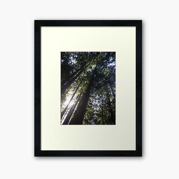 Item preview, Redwood Forest designed and sold by Sara Hargis.