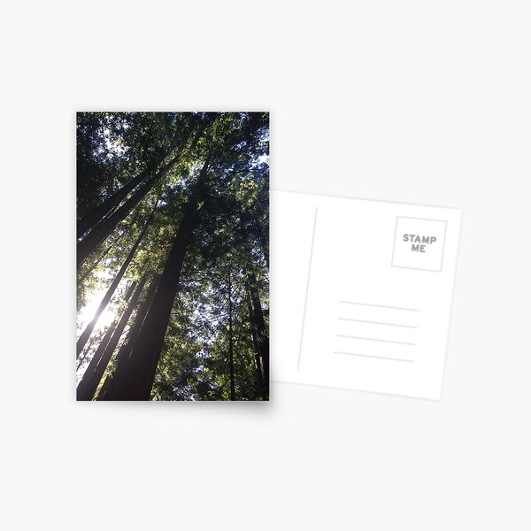 Item preview, Redwood Forest designed and sold by Sara Hargis.
