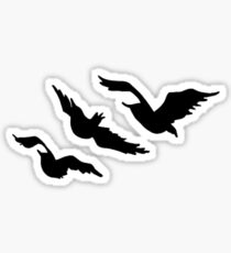 Divergence Sticker
