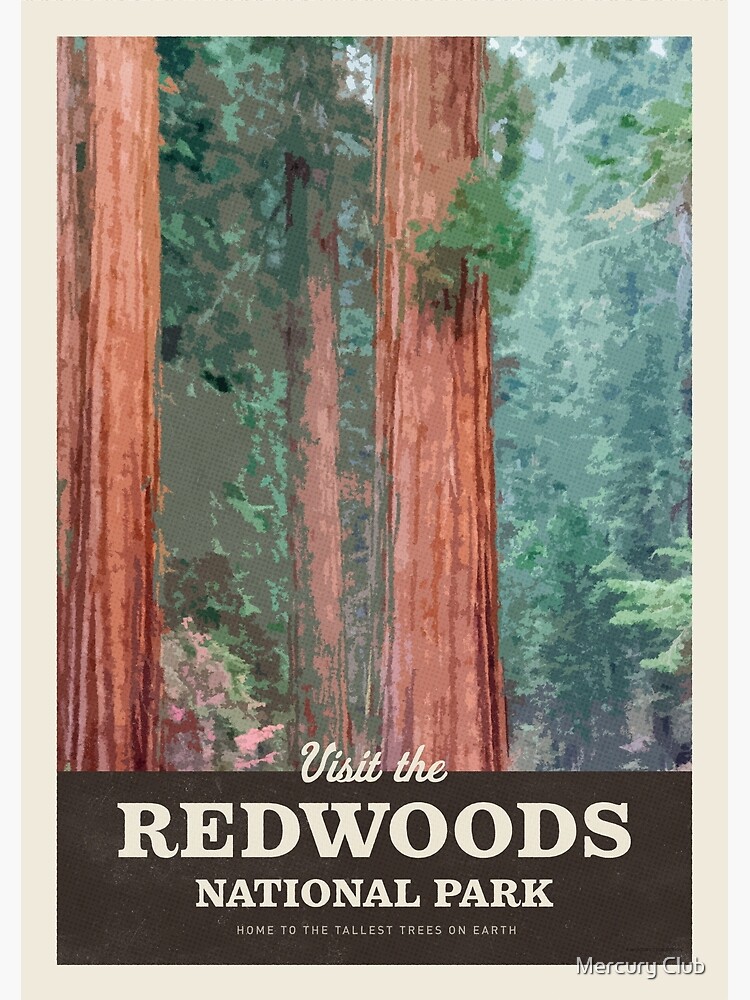 Disover Visit the Redwoods National Park Premium Matte Vertical Poster