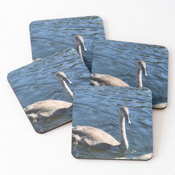 Item preview, Dorset Cygnet designed and sold by Michaela Perryman.