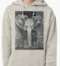 Sheltered Pullover Hoodie