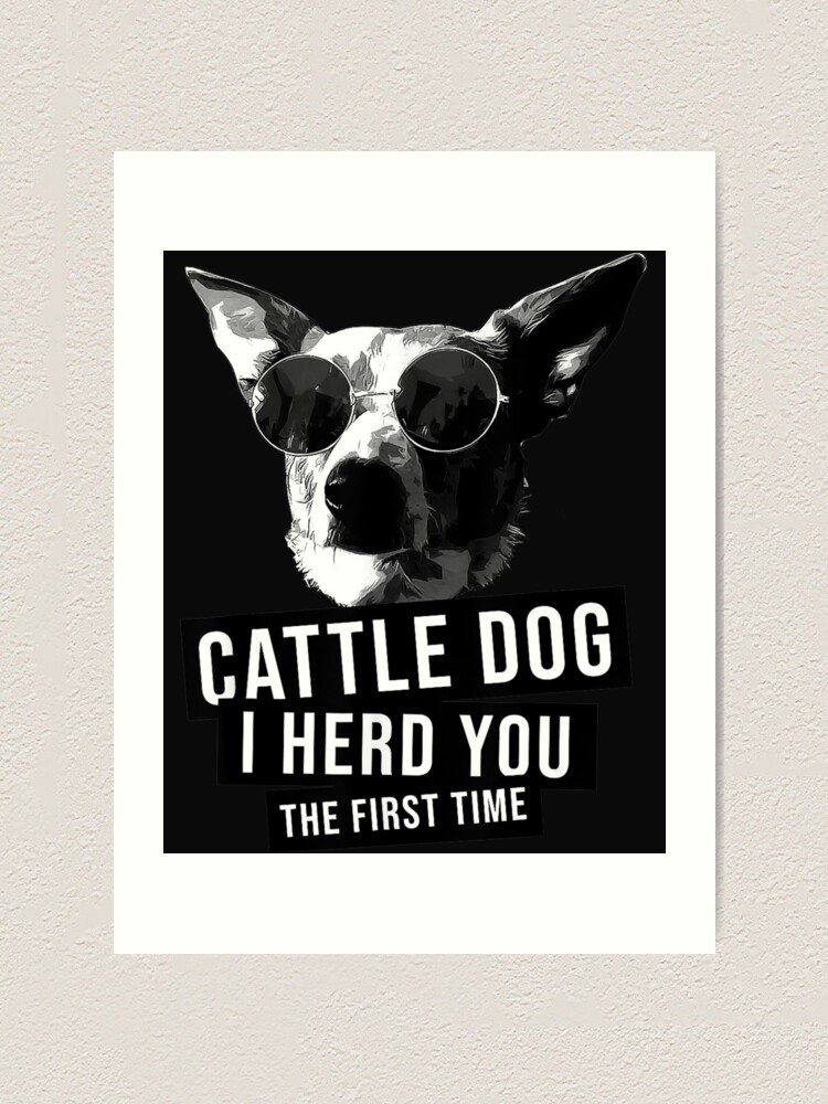 Australian Cattle Dog I Herd You The First Time Heeler Gift T-Shirt Australian Cattle Dog I Herd You The First Time Heeler Gift T-Shirt