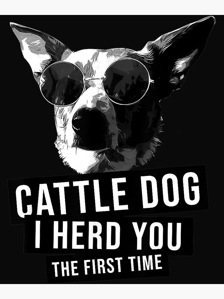 Australian Cattle Dog I Herd You The First Time Heeler Gift T-Shirt Australian Cattle Dog I Herd You The First Time Heeler Gift T-Shirt