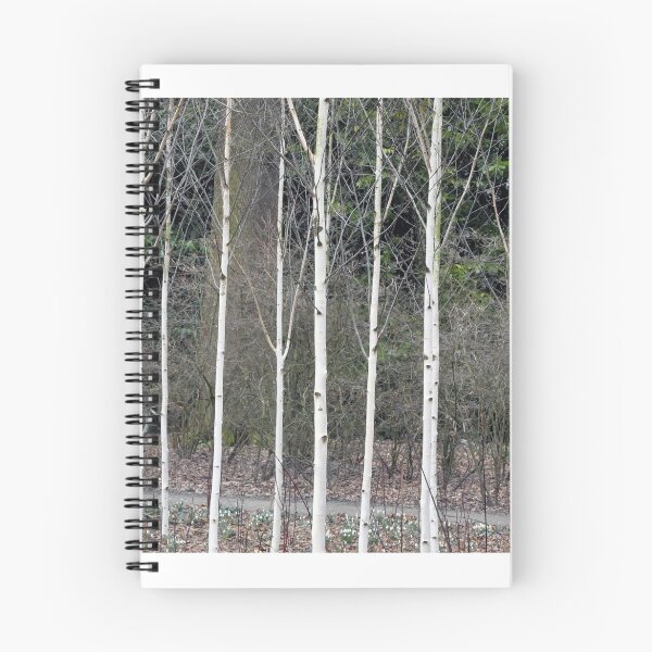Item preview, Silver Birches - Winter Garden, Dunham Massey designed and sold by Chris Monks.