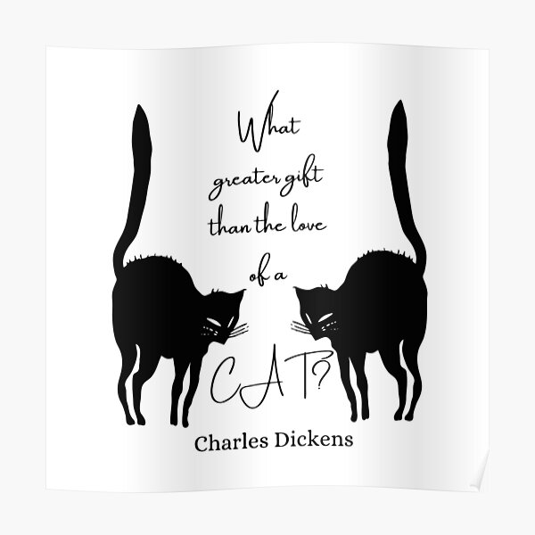 Chat Noir Posters For Sale Redbubble