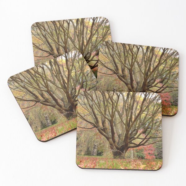 Item preview, The bare bones of autumn  designed and sold by miradorpictures.