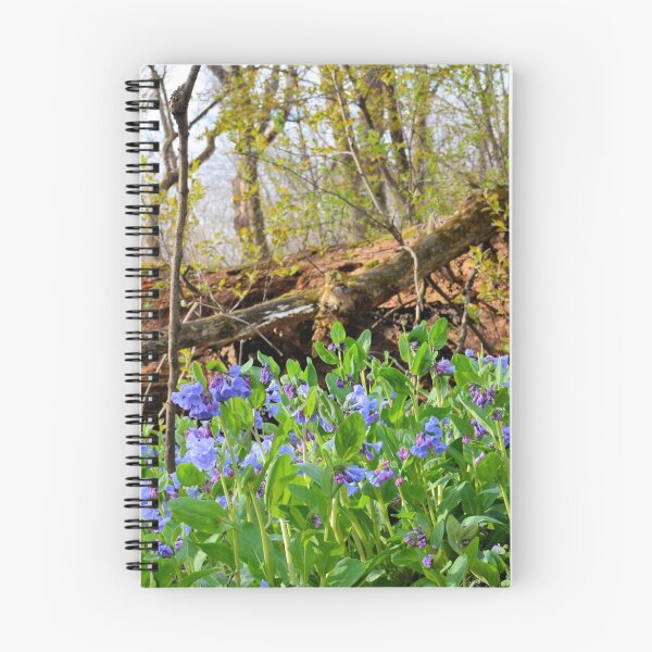 Item preview, Forest Landscape designed and sold by LynyrdSky.