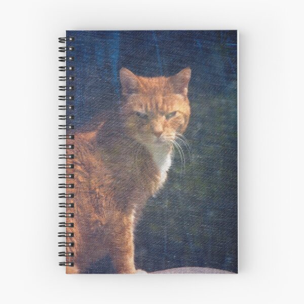 Item preview, Observing designed and sold by Joy  Rector.