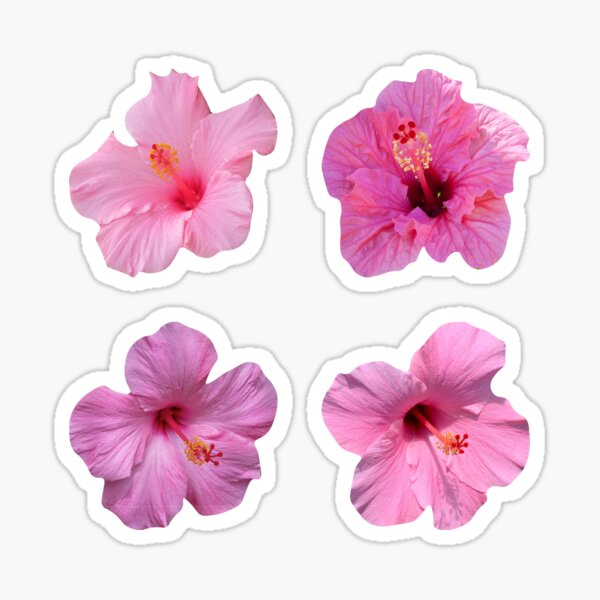 Item preview, Pink Hibiscus Tropical Flowers designed and sold by Pavnud.