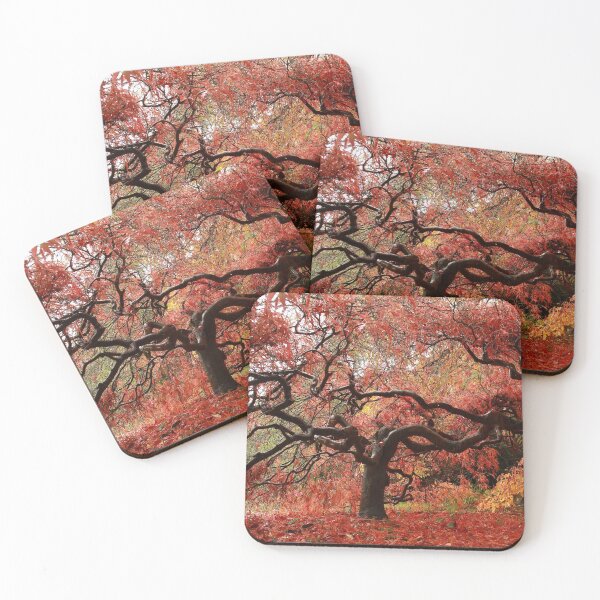 Item preview, A flavor of fall designed and sold by miradorpictures.