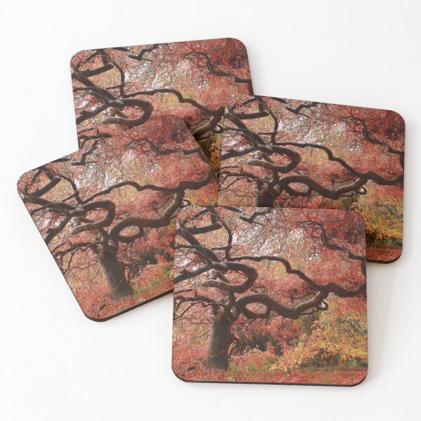 Item preview, Whats underneath designed and sold by miradorpictures.