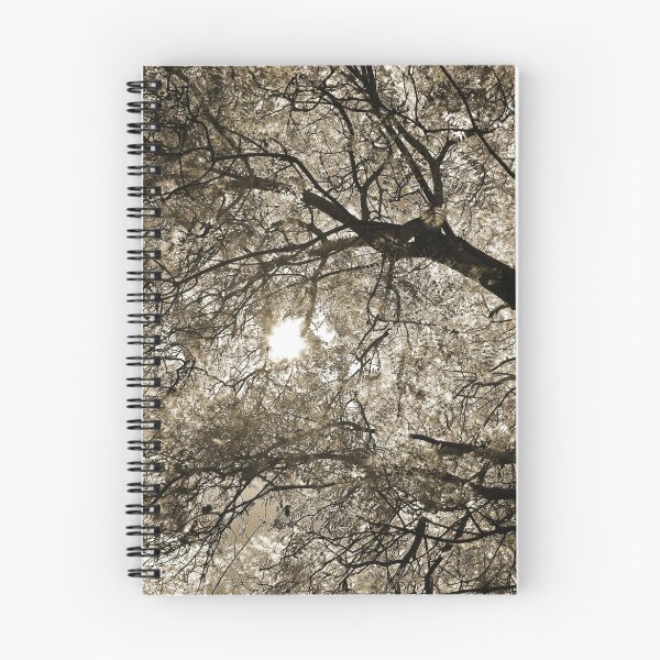 Item preview, Canopy designed and sold by Chet  King.