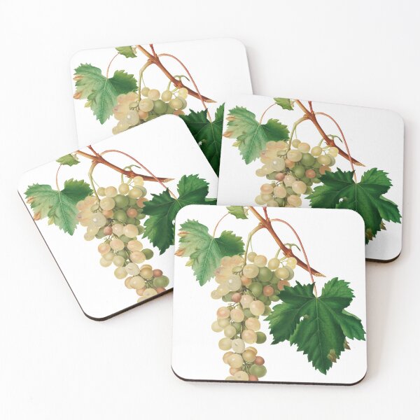 Artikelvorschau, Weinlese handgezeichnete Frucht botanische Muskateller-Traubenillustration für Weinliebhaber entworfen und verkauft von No AI Classic Vintage Art.