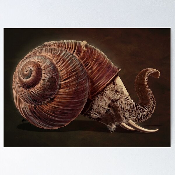 Item preview, Shellephant designed and sold by James Fosdike.
