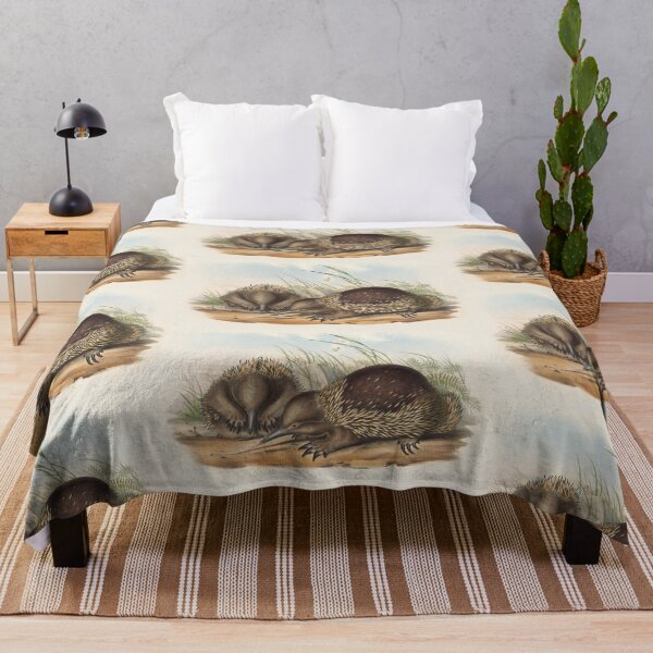 Item preview, Echidna illustration Australian animals series designed and sold by Vintage Designs +.