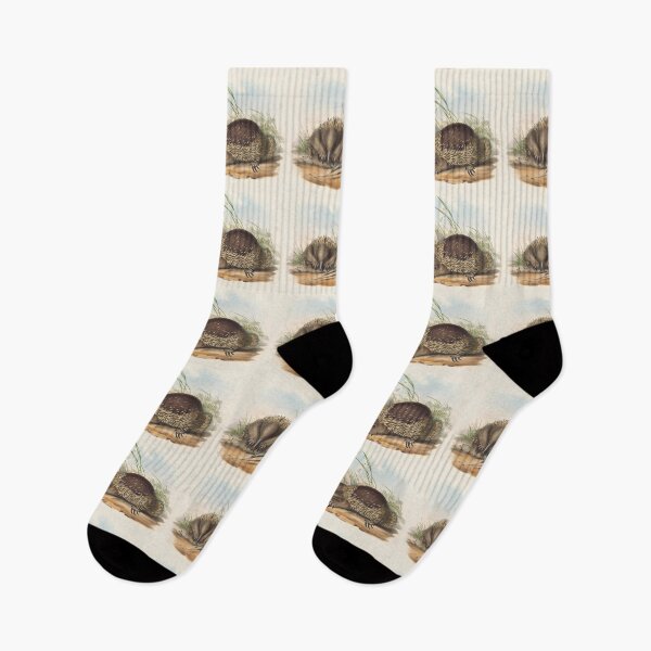 Item preview, Echidna illustration Australian animals series designed and sold by Vintage Designs +.