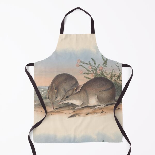 Aperçu de l'œuvre Desert Shrew illustration Australian animals series créée et vendue par Vintage Designs +.