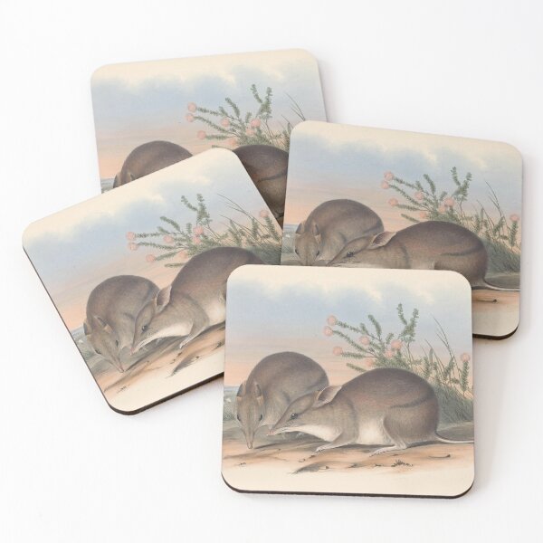 Artikelvorschau, Desert Shrew illustration Australian animals series entworfen und verkauft von Vintage Designs +.