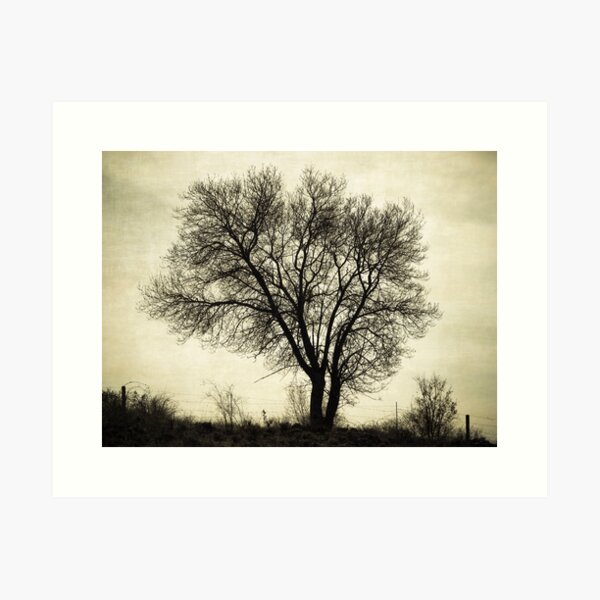 Vista previa del artículo con la obra «El árbol en la colina», diseñado y vendido por ILODESIGNS.